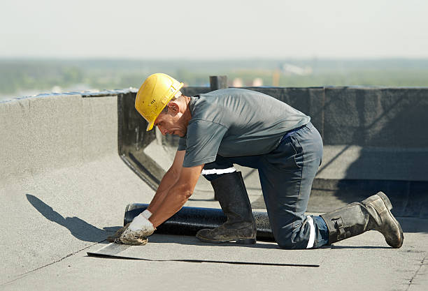 Best Insulation Maintenance and Repair in Addison, TX