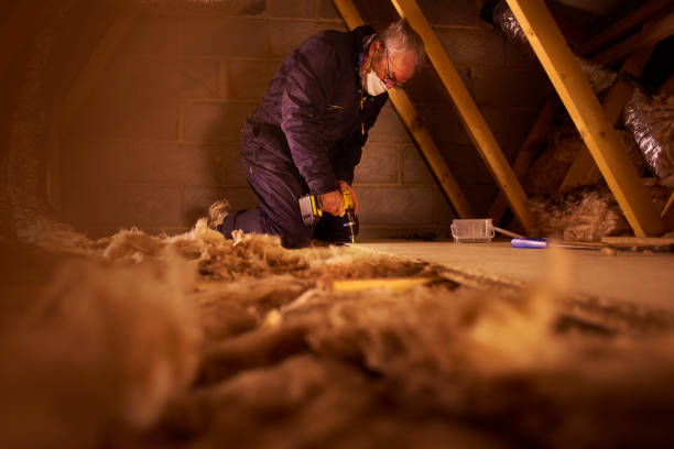 Best Specialized Insulation Services in Addison, TX